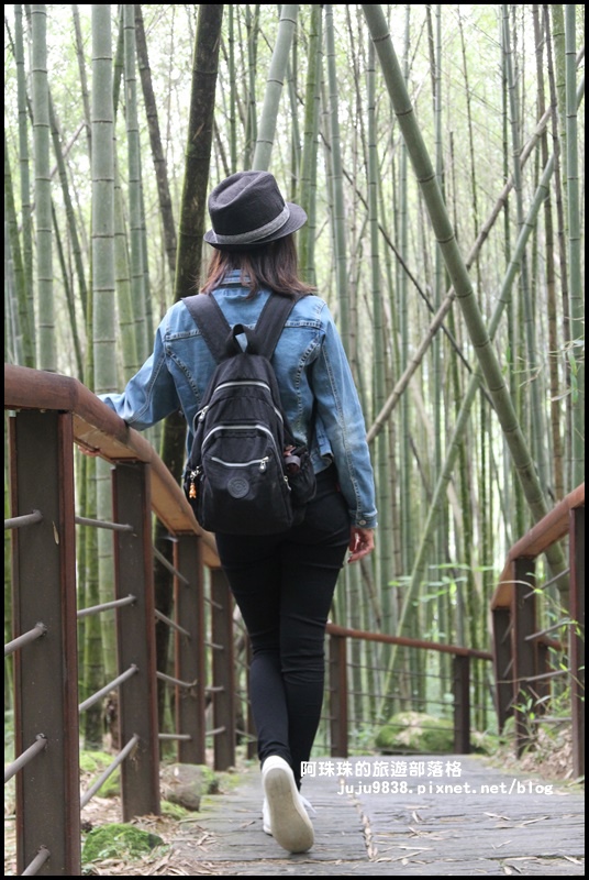 迷糊步道5.JPG 迷糊步道5.JPG