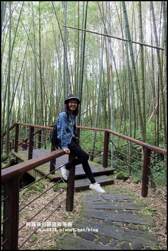 迷糊步道9.JPG 迷糊步道9.JPG