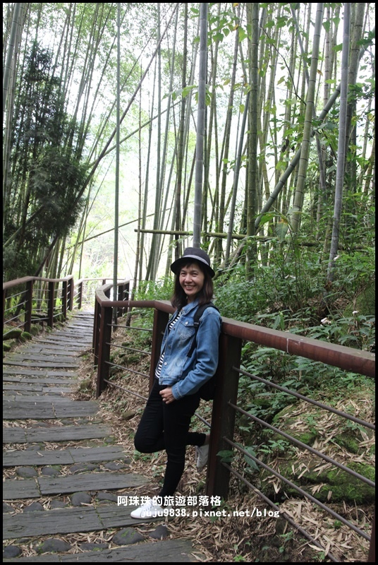 迷糊步道12.JPG 迷糊步道12.JPG