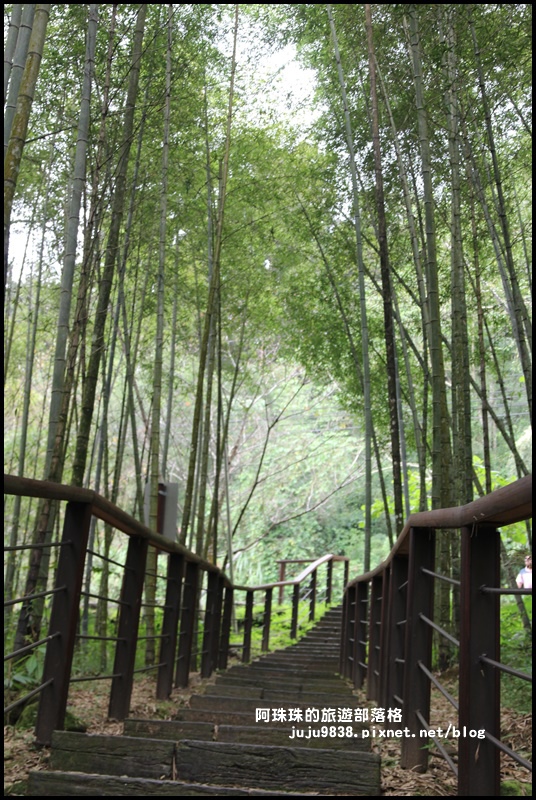 迷糊步道7.JPG 迷糊步道7.JPG