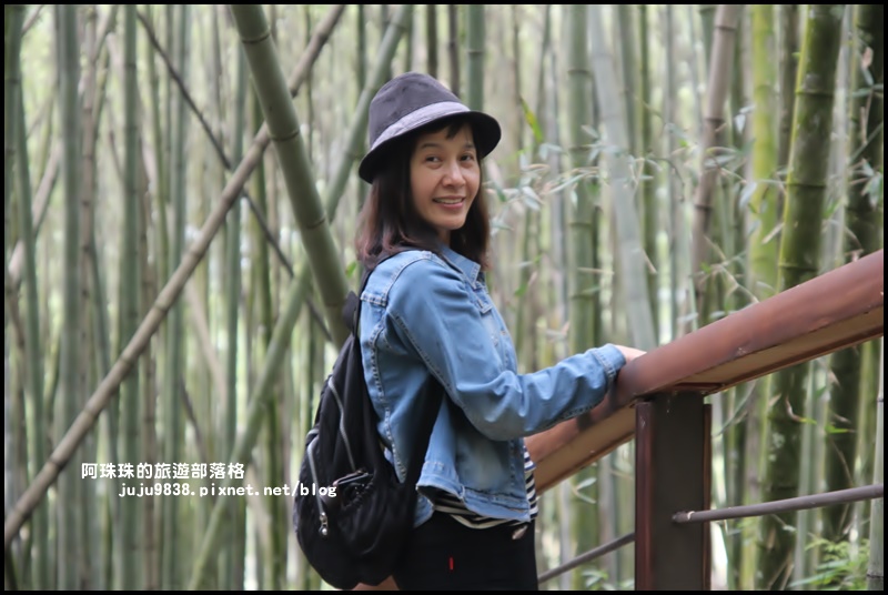 迷糊步道6.JPG 迷糊步道6.JPG