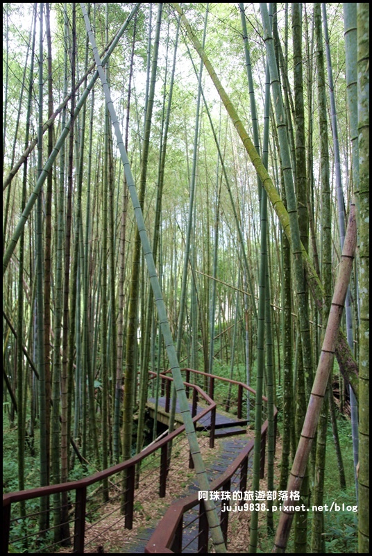 迷糊步道8.JPG 迷糊步道8.JPG