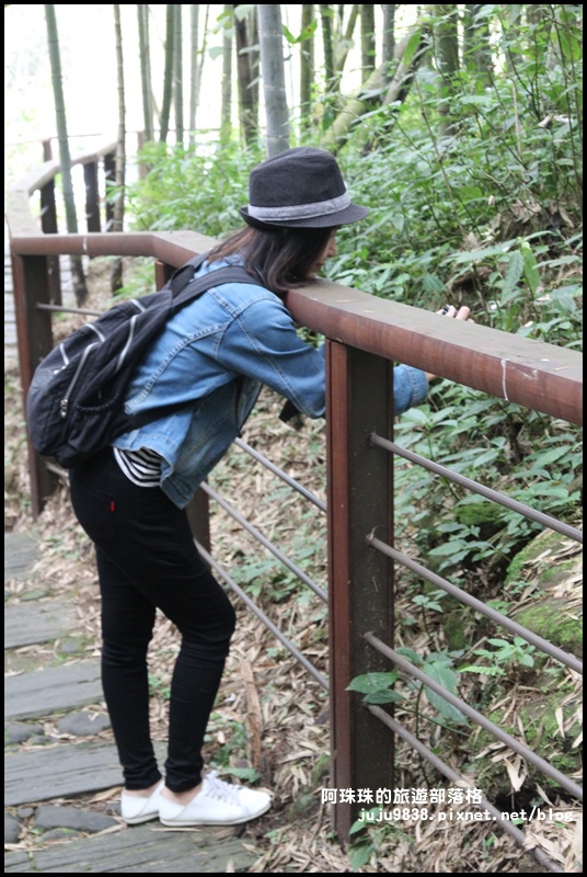 迷糊步道11.JPG 迷糊步道11.JPG