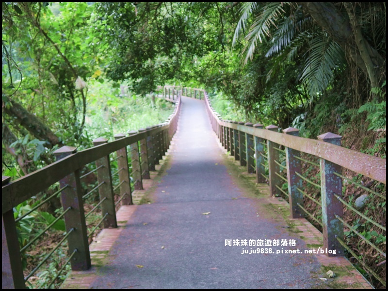 三坑生態公園63.JPG