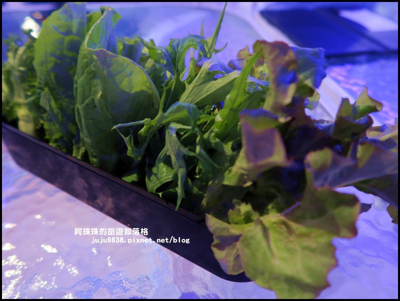 海灣星空49.JPG 海灣星空49.JPG