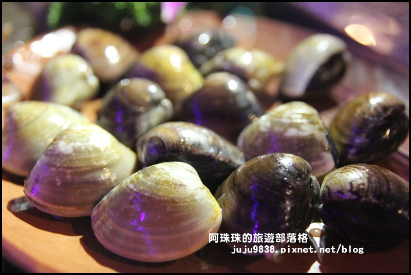 海灣星空22.JPG 海灣星空22.JPG