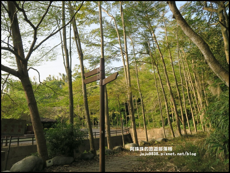 小葉欖仁秘境步道15.JPG 小葉欖仁秘境步道15.JPG