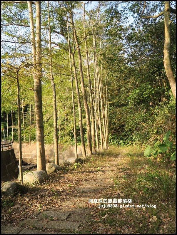 小葉欖仁秘境步道19.JPG 小葉欖仁秘境步道19.JPG