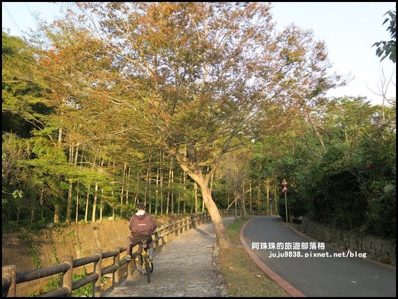 小葉欖仁秘境步道22.JPG 小葉欖仁秘境步道22.JPG