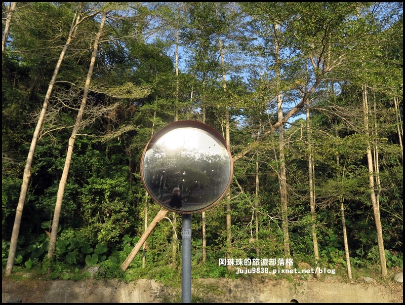 小葉欖仁秘境步道21.JPG 小葉欖仁秘境步道21.JPG