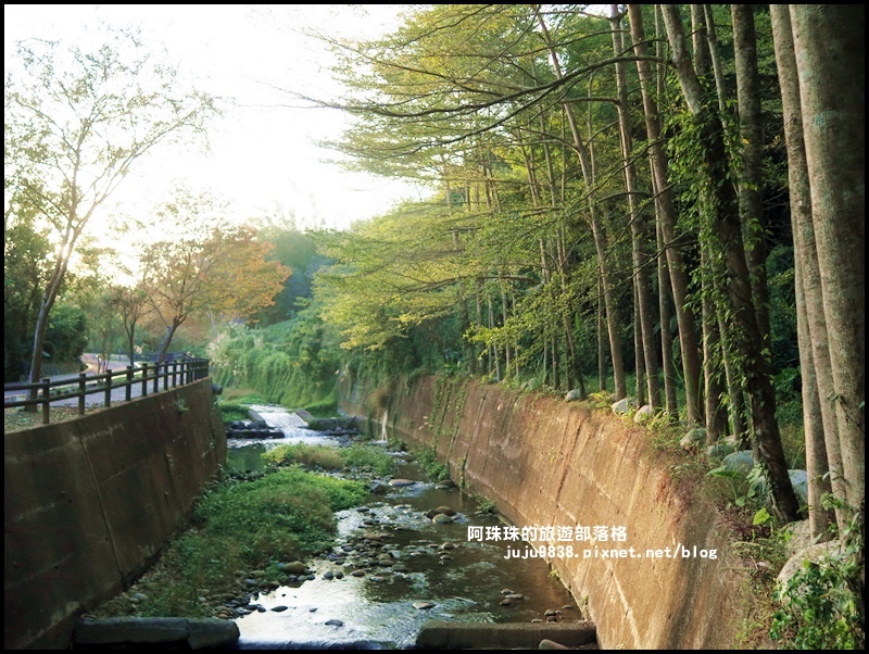 小葉欖仁秘境步道28.JPG 小葉欖仁秘境步道28.JPG