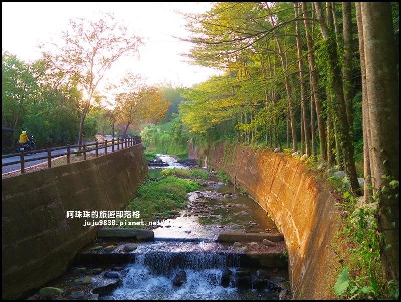 小葉欖仁秘境步道29.JPG 小葉欖仁秘境步道29.JPG