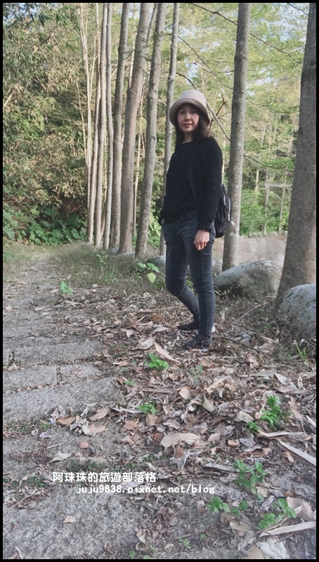 小葉欖仁秘境步道1.JPG 小葉欖仁秘境步道1.JPG