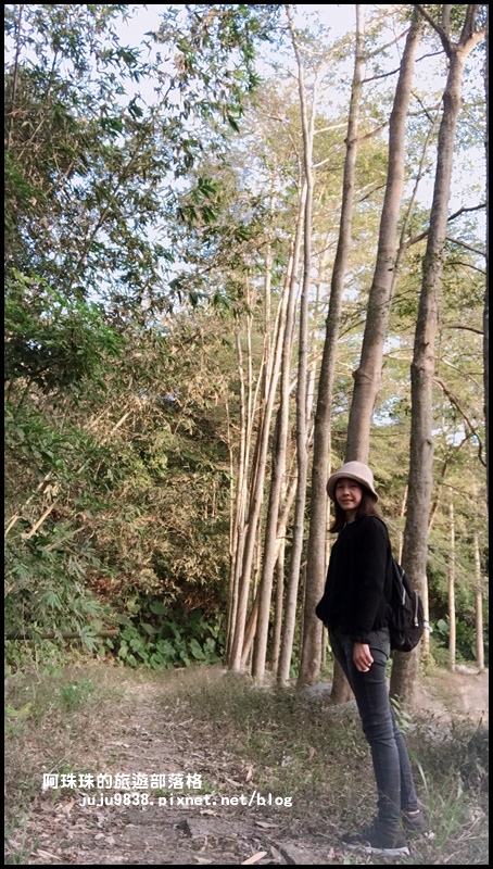 小葉欖仁秘境步道2.JPG 小葉欖仁秘境步道2.JPG