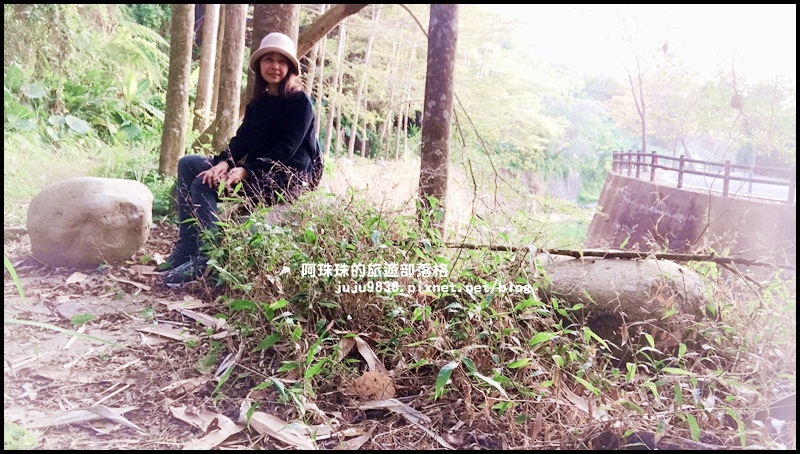 小葉欖仁秘境步道7.JPG 小葉欖仁秘境步道7.JPG