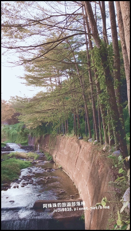 小葉欖仁秘境步道8.JPG 小葉欖仁秘境步道8.JPG