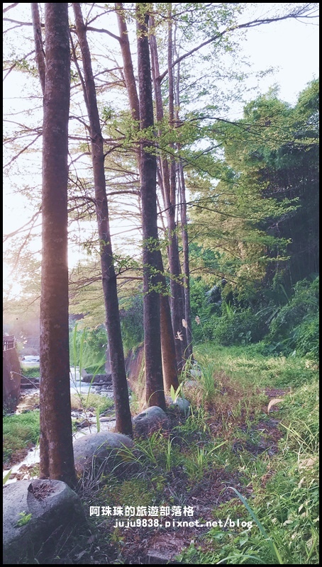 小葉欖仁秘境步道9.JPG 小葉欖仁秘境步道9.JPG
