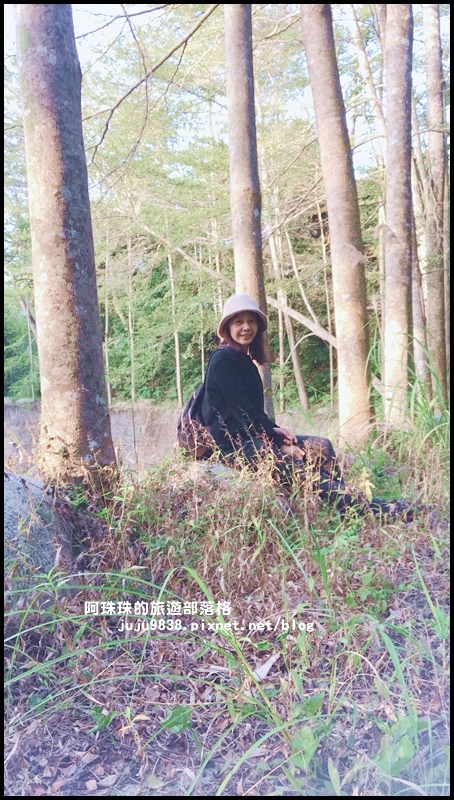 小葉欖仁秘境步道10.JPG 小葉欖仁秘境步道10.JPG