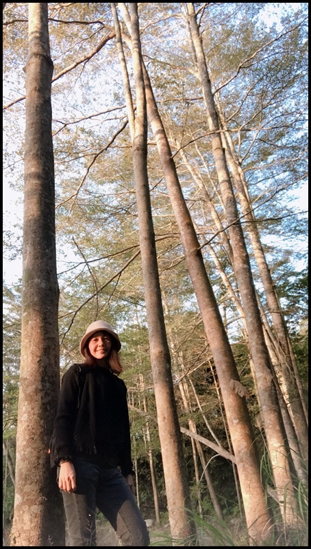 小葉欖仁秘境步道11.JPG 小葉欖仁秘境步道11.JPG