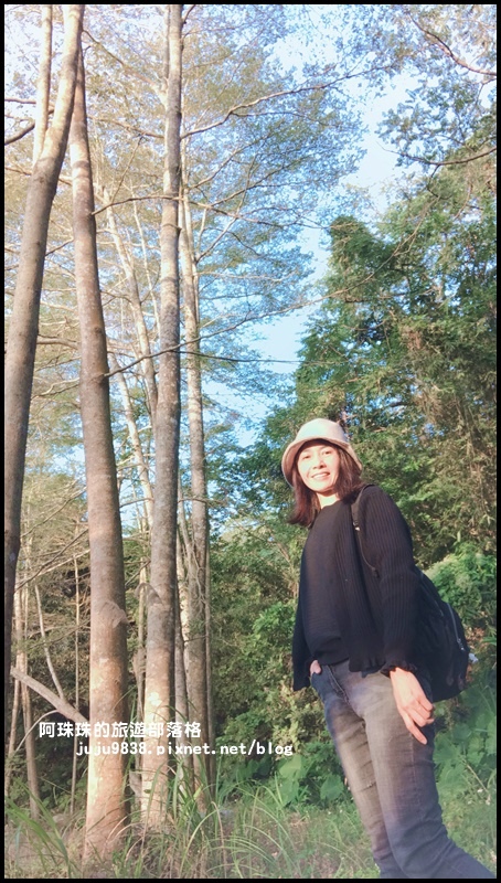 小葉欖仁秘境步道12.JPG 小葉欖仁秘境步道12.JPG