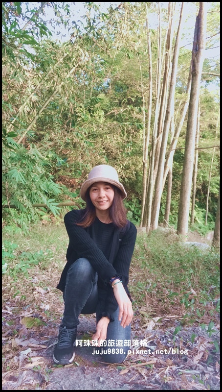 小葉欖仁秘境步道3 小葉欖仁秘境步道3