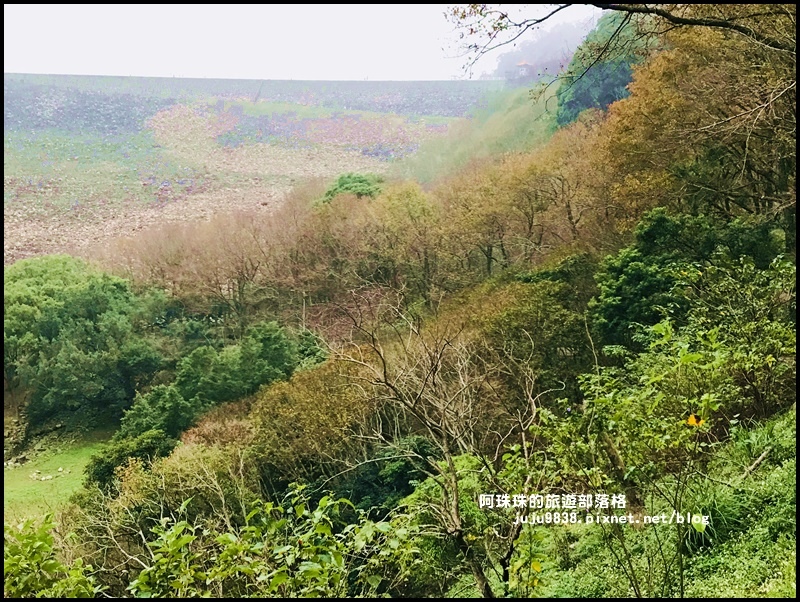 石門水庫楓紅42.JPG