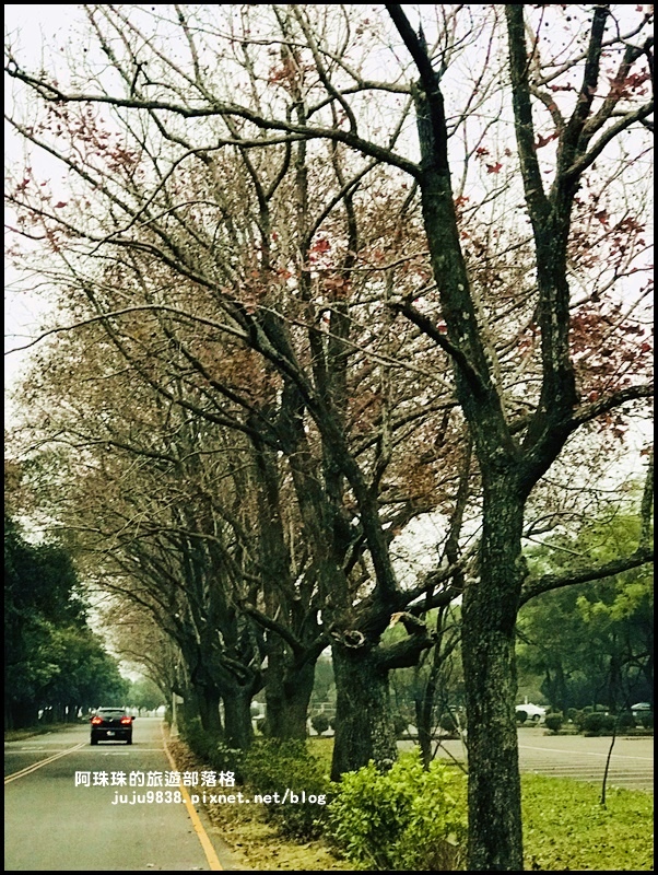 石門水庫楓紅58.JPG