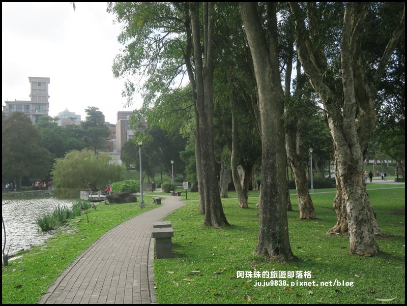 大湖公園14.JPG