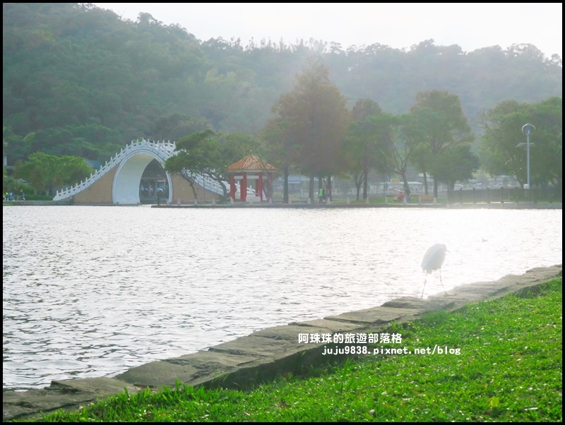 大湖公園8.JPG