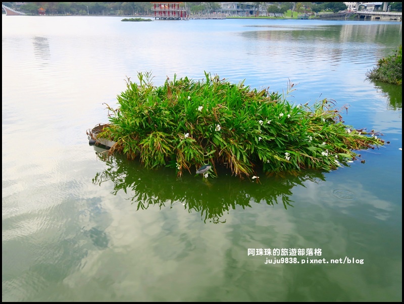 大湖公園1.JPG