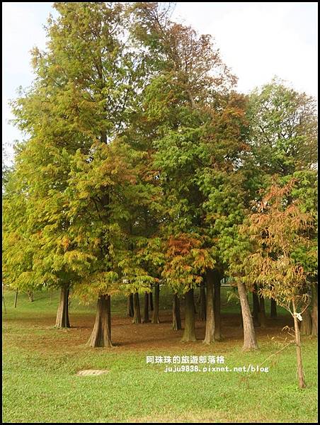 大湖公園23.JPG