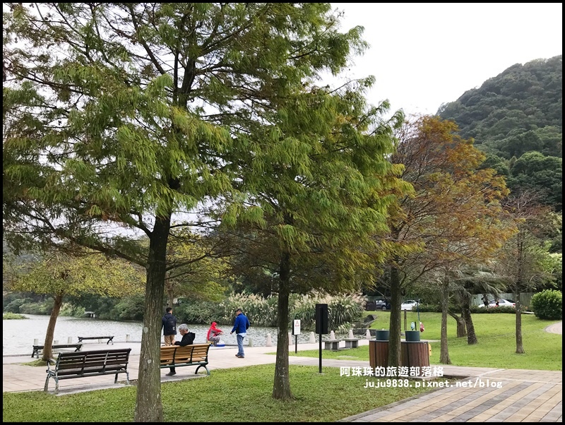 大湖公園57.JPG