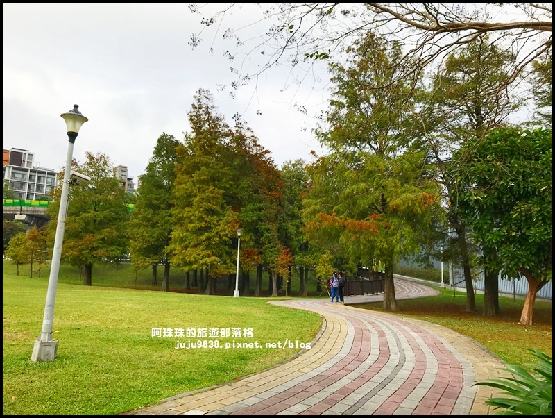 大湖公園32.JPG