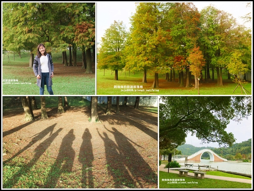 大湖公園,台北捷運,落羽松,九曲橋,錦帶拱橋,白鷺湖,環湖步道,台北,內湖,大湖公園站,捷運,白鷺