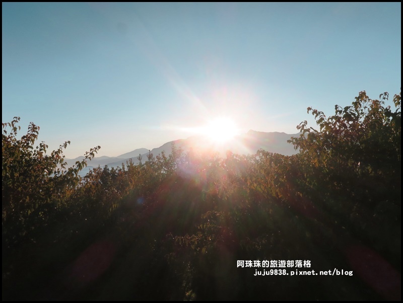 阿里山日出34.JPG