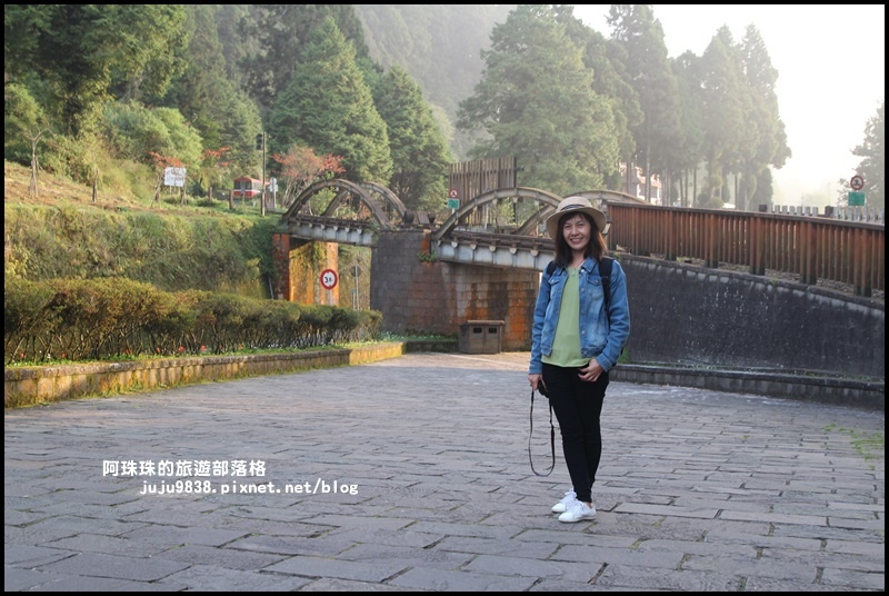 阿里山32.JPG 阿里山32.JPG