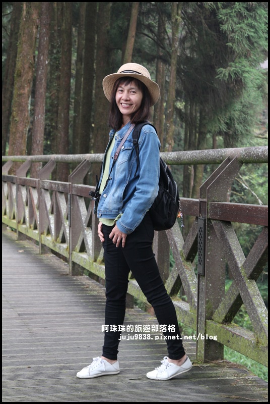 阿里山22.JPG 阿里山22.JPG