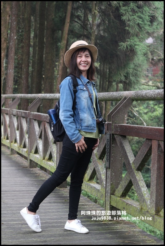 阿里山21.JPG 阿里山21.JPG