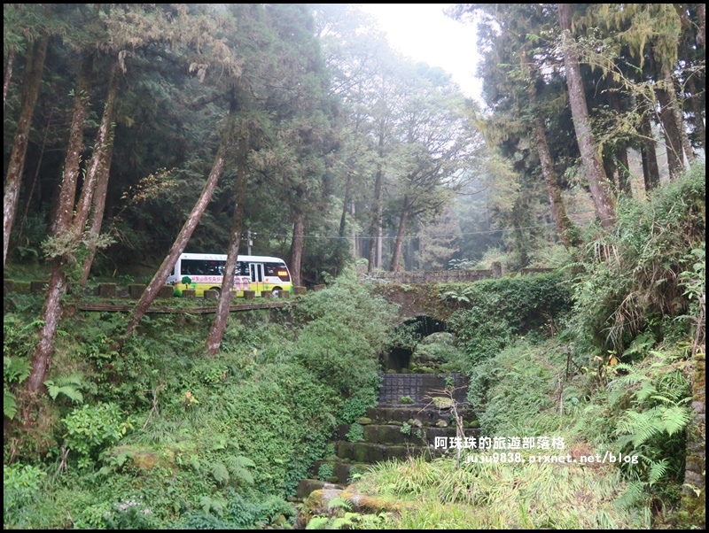 阿里山62.JPG 阿里山62.JPG