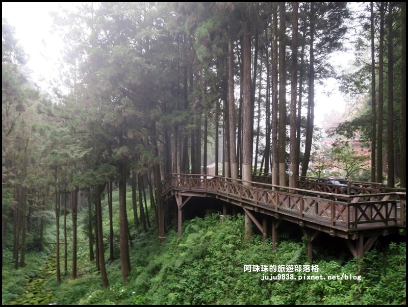 阿里山61.JPG 阿里山61.JPG