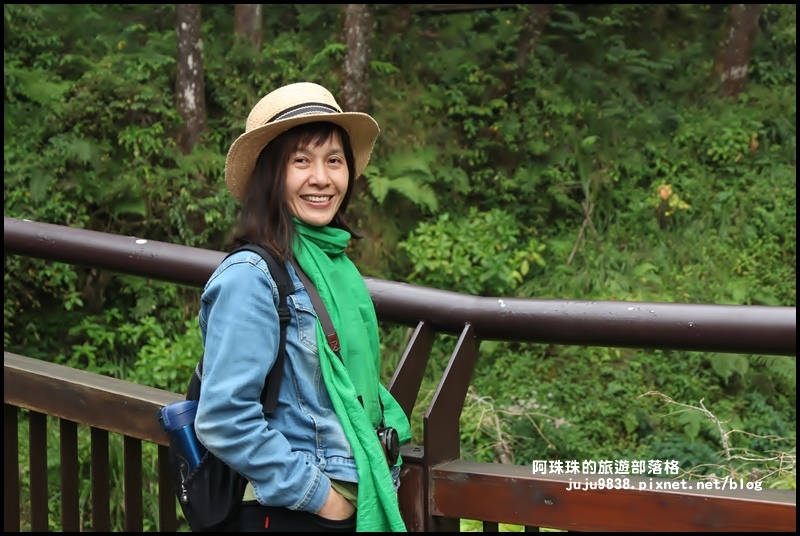 阿里山23.JPG 阿里山23.JPG