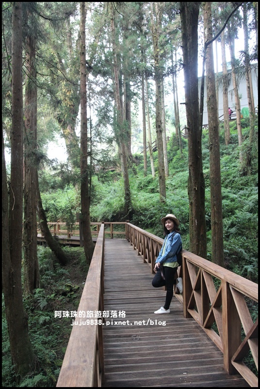 阿里山19.JPG 阿里山19.JPG