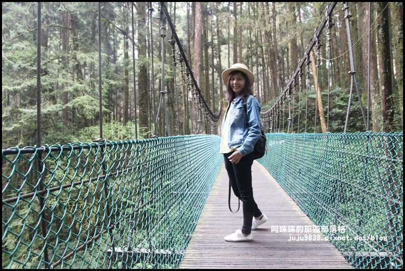 阿里山18.JPG 阿里山18.JPG