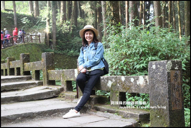 阿里山17.JPG 阿里山17.JPG