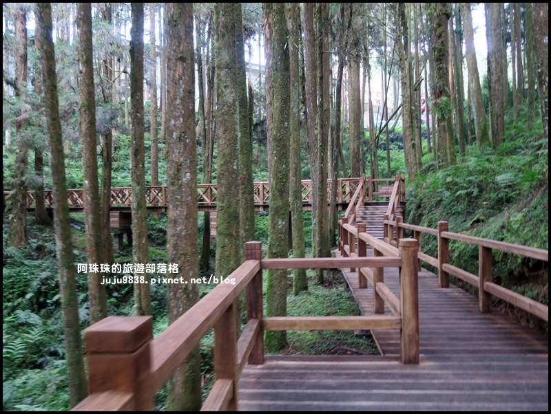 阿里山54.JPG 阿里山54.JPG