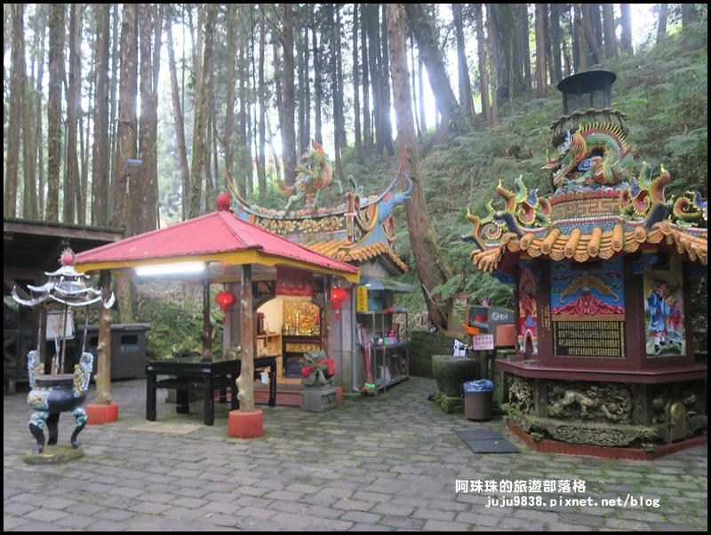 阿里山52.JPG 阿里山52.JPG