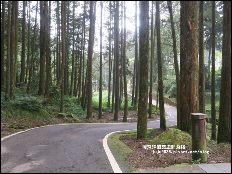 阿里山47.JPG 阿里山47.JPG