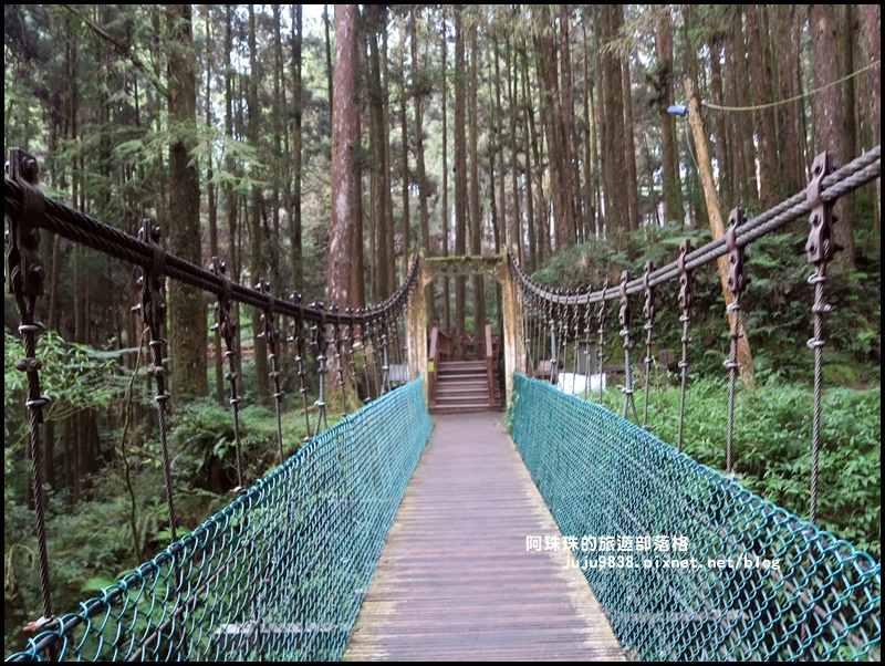 阿里山53.JPG 阿里山53.JPG