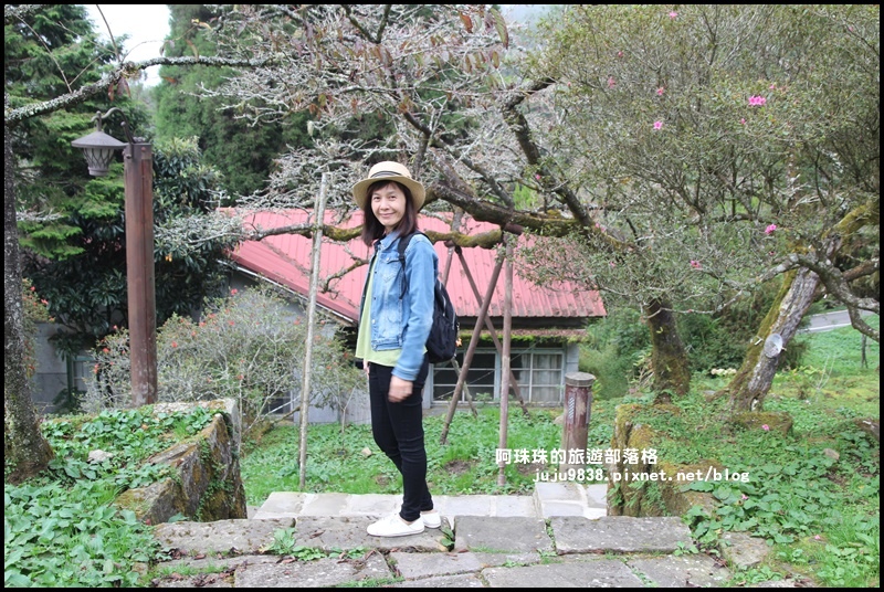 阿里山12.JPG 阿里山12.JPG