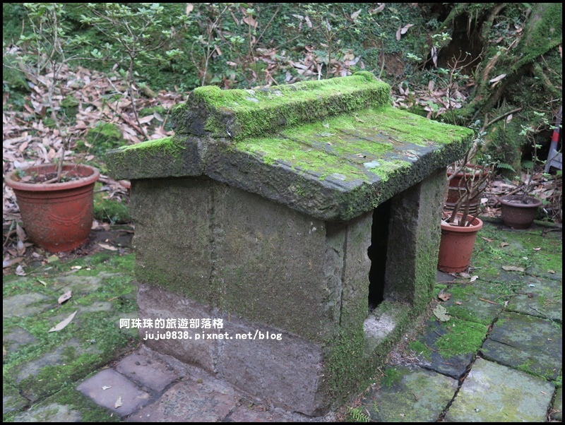 阿里山51.JPG 阿里山51.JPG